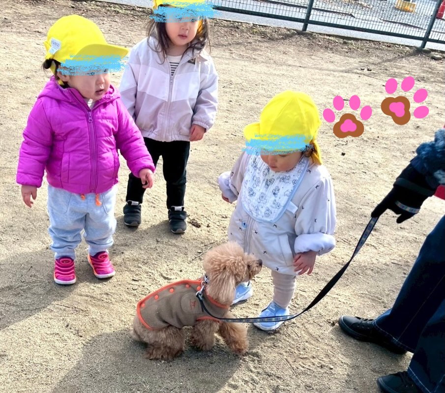 🥰💖🥰💖🥰💖🥰💖

かわいい🥰ひとコマのまとめ

いつも公園で会うかわいい顔のわんちゃん🐶
警察犬の
