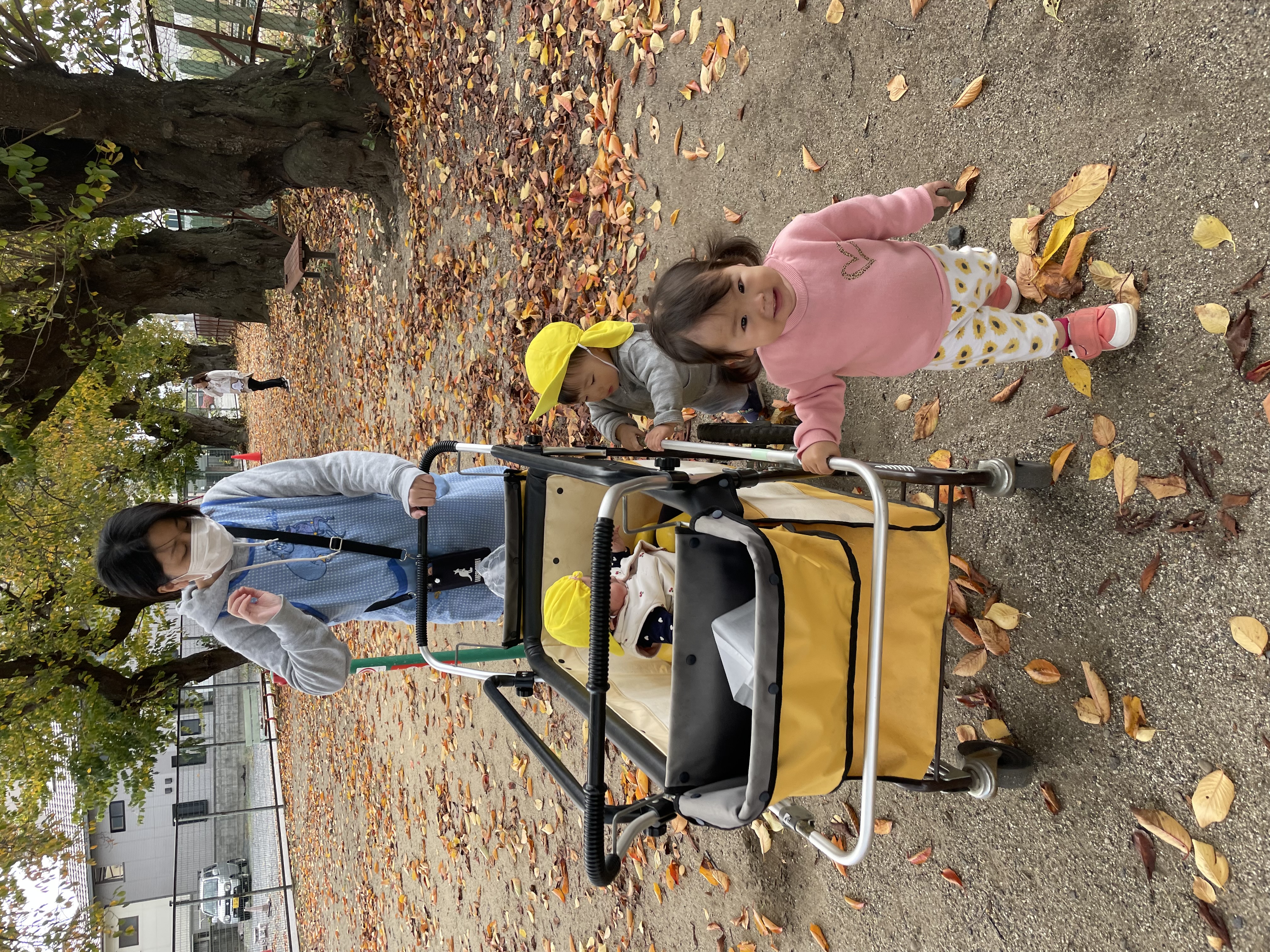 ぴよぴよと落ち葉🎵