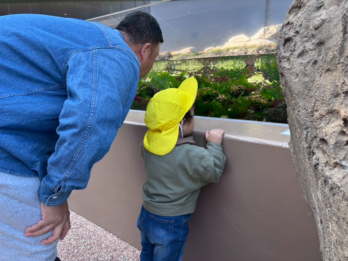 楽しかった園外保育🐟